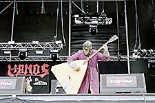 Eule zupft die Basslaute