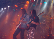 Die Nobody-Gitarrenfront