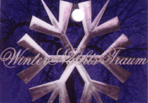 Winternachtstraum