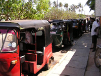 Mit Tuk-tuks, dreirädigen Personen-Taxis geht es zum Konzert.