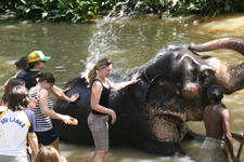 Elefantenbad - Nastasja entgeht nur knapp einer Dusche