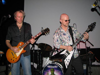 Real guitars have wings!