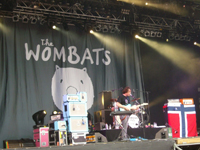 The Wombats