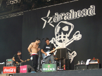 Zebrahead