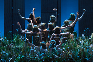 Die Mythischen Elemente auf der Wiese vor Mimes Behausung