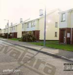 AVATARA: Perfect Pain