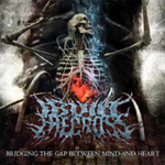 I BUILT THE CROSS: Bridging The Gap Between Mind And Heart