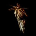 LUNAR AURORA: Zyklus