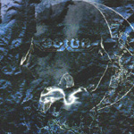 ODIUM: Written In Flesh