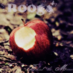 ROOGA: Behind The Mirror