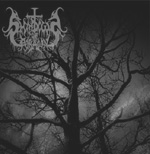 SHADOWS OF PARAGON: Shadows Of Paragon