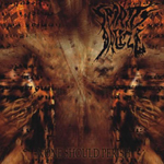 SPIRITS BREEZE: None Should Perish