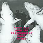 STONED HAJTZER: Greetings From The Transcendent Piggy World