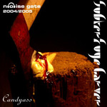 SUBTERFUGE CARVER: Candyass