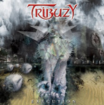 TRIBUZY: Execution
