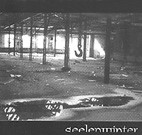 VIS MATRIX: Seelenwinter